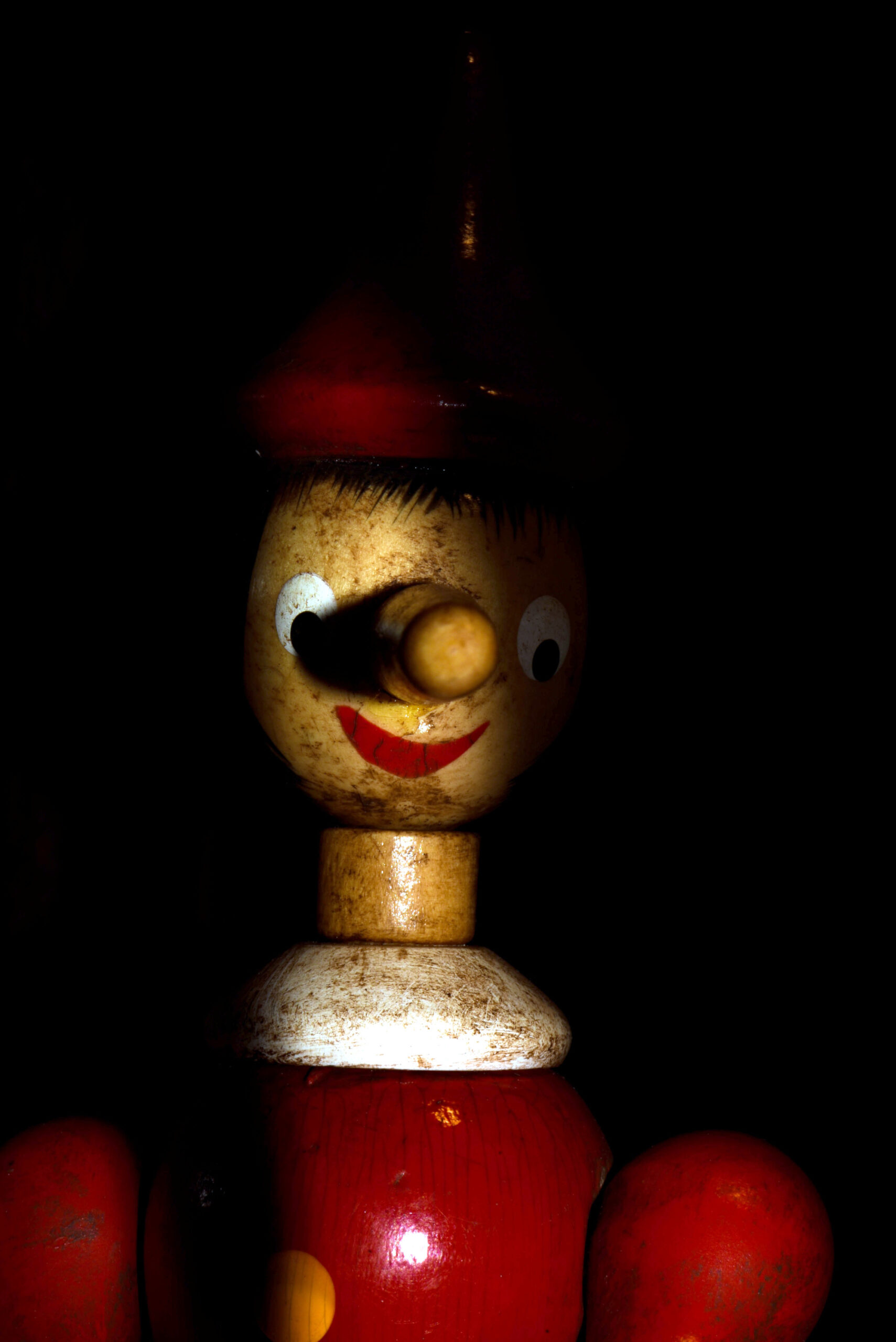 The Adventures of Pinocchio by Carlo Collodi